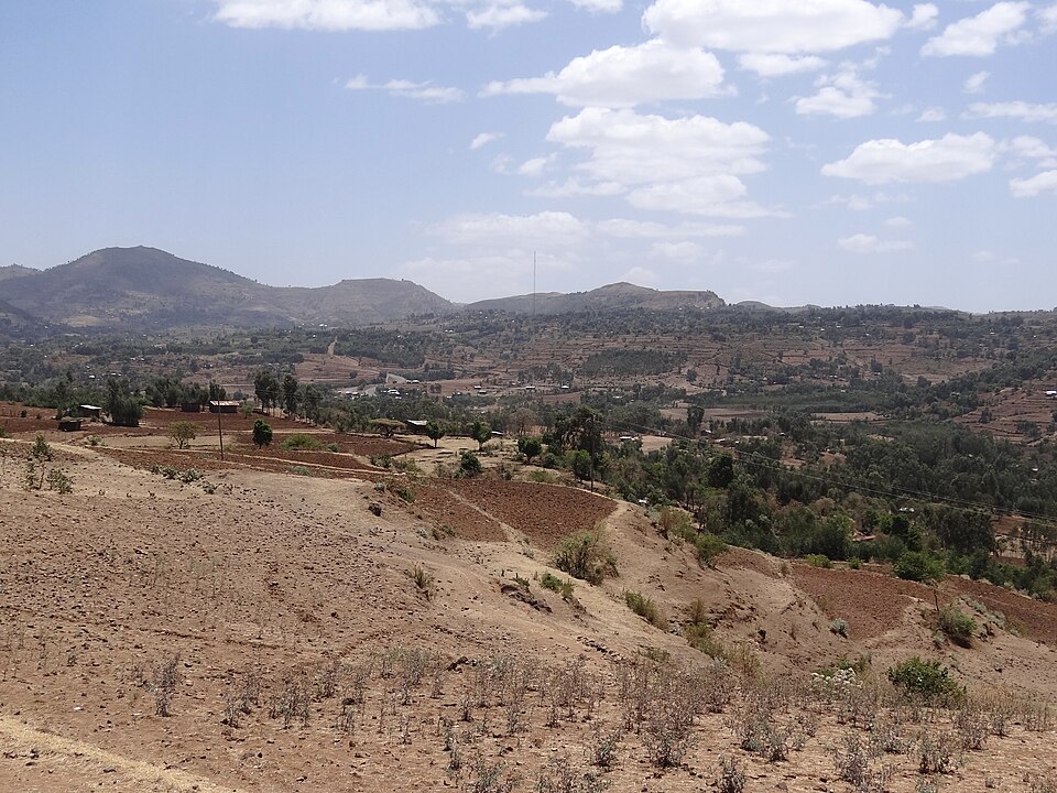 Gondar — service booking platforms for local businesses