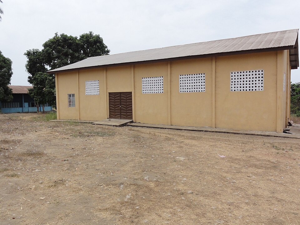 Sierra Leone — mobile commerce apps for local businesses