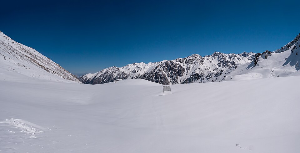 Almaty — international and multi-region stores for local businesses
