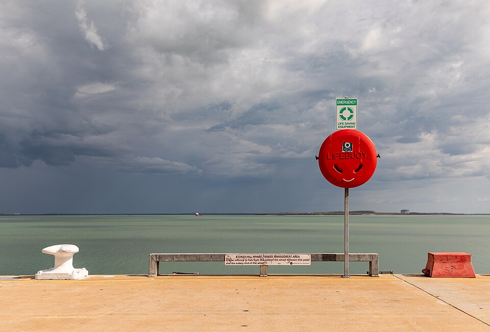 Darwin — local market for manufacturer and distributor portals