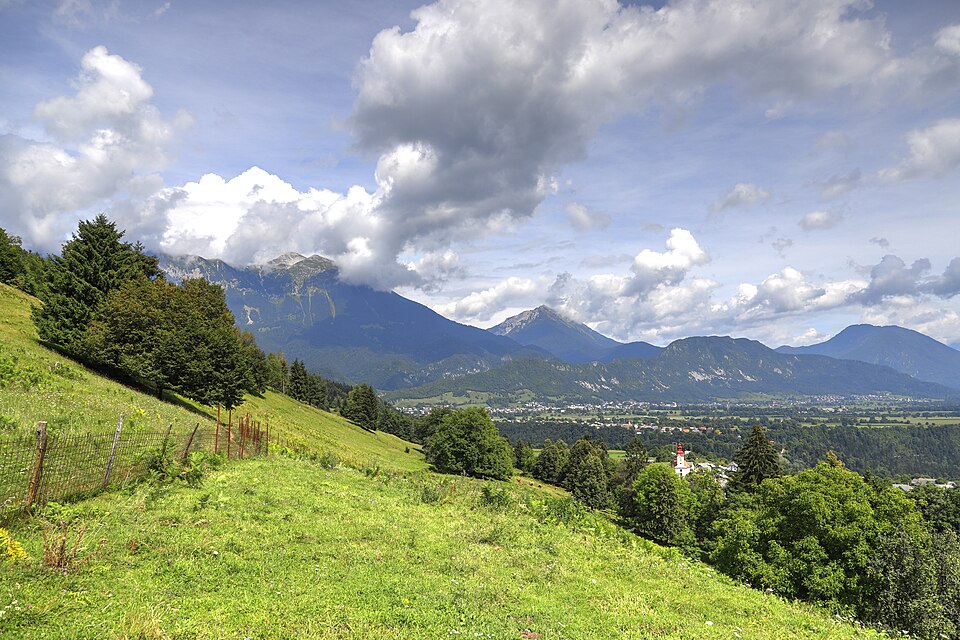 Slovenia — local market for multi-vendor marketplaces