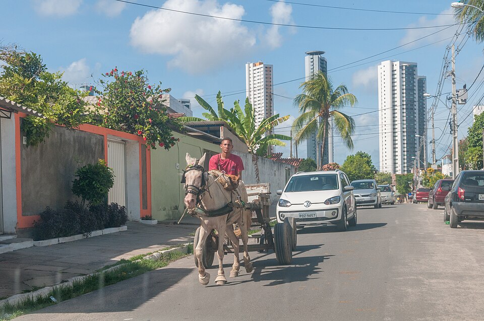 Recife — online stores for local businesses