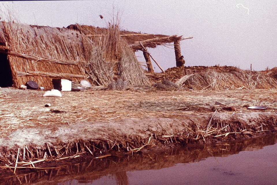 Basra — local market for international and multi-region stores