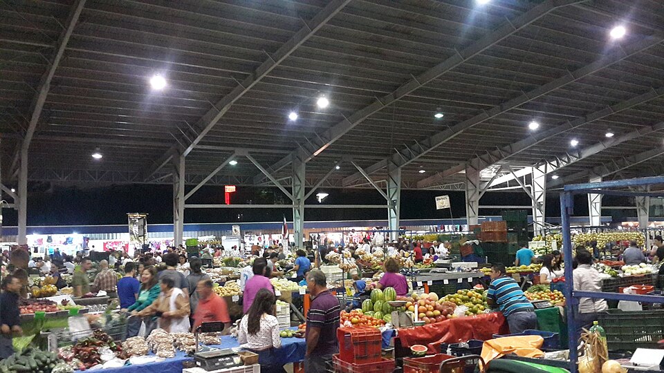 Alajuela — local market for custom e-commerce platforms