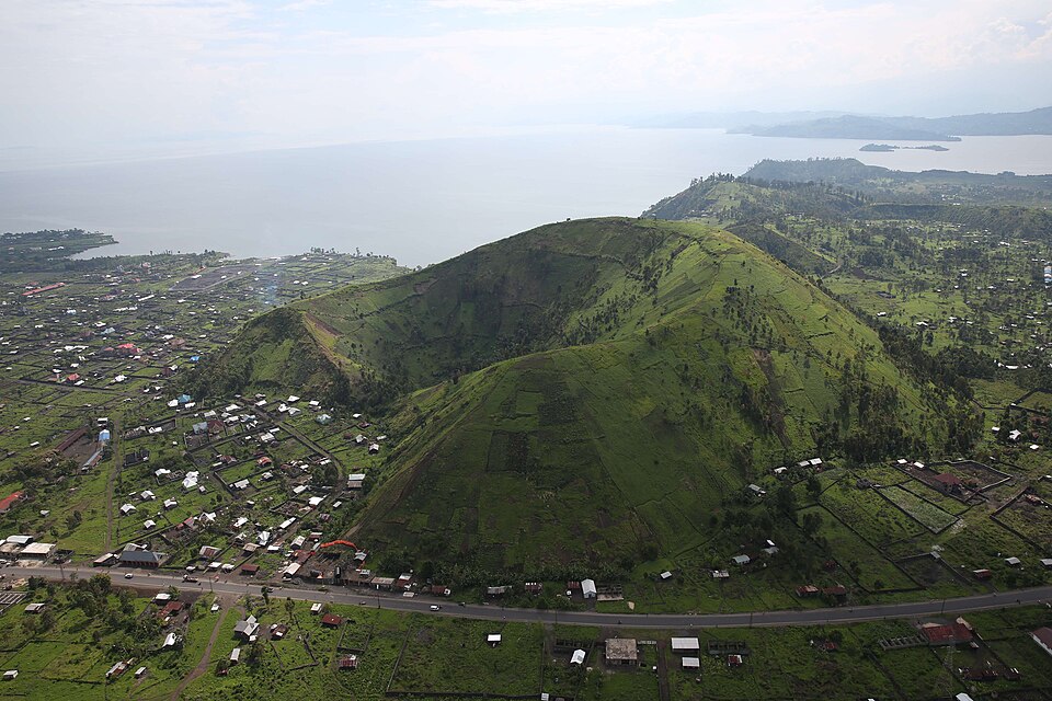 Goma — manufacturer and distributor portals for local businesses