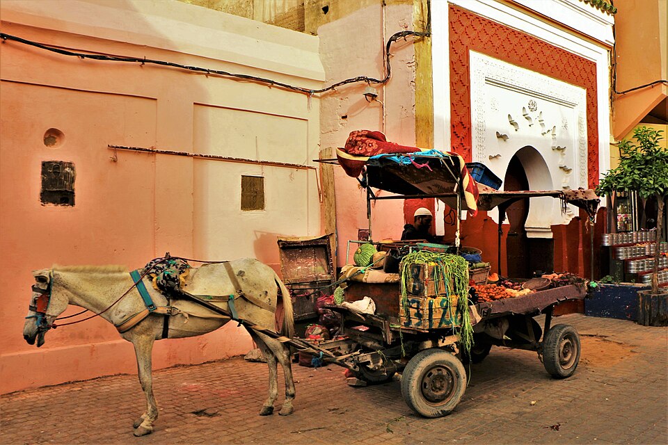 Marrakech — international and multi-region stores for local businesses