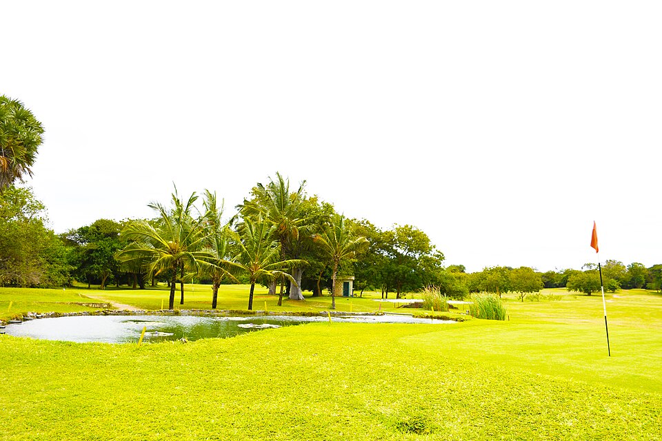 Malindi — service booking platforms for local businesses