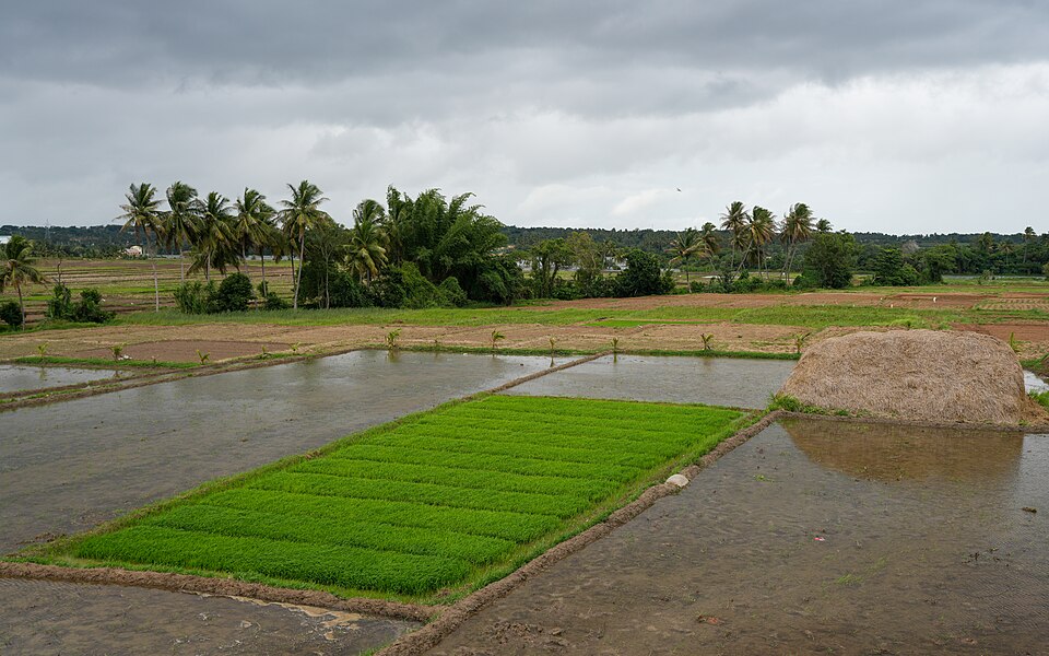 Mandya — local market for B2B and wholesale portals