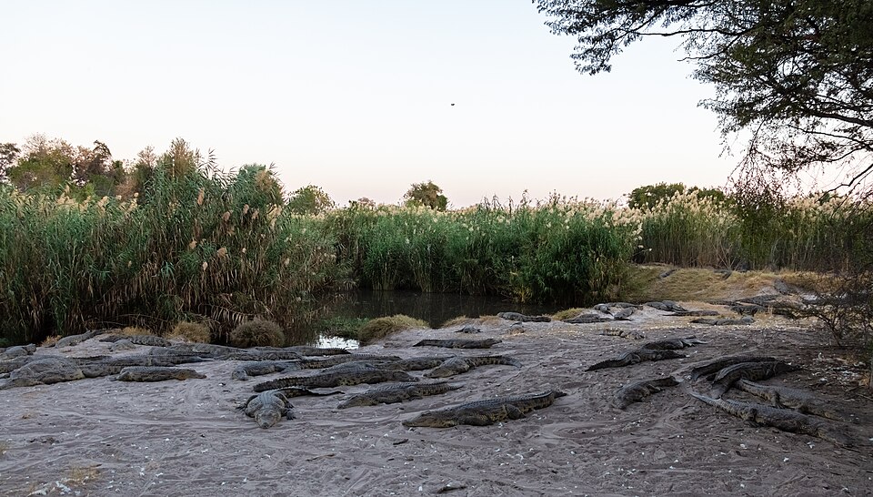 Maun — international and multi-region stores for local businesses