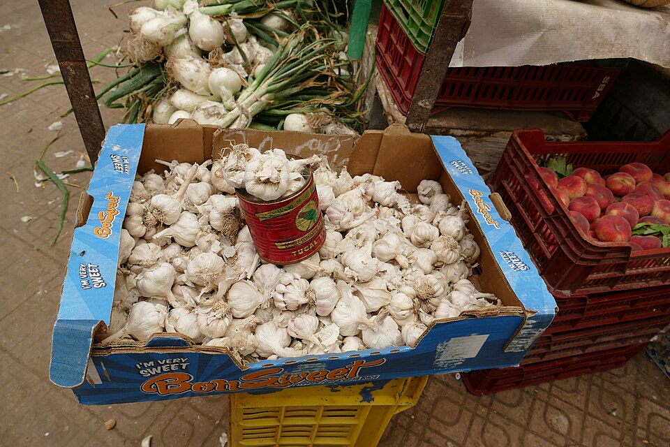 Bizerte — local market for subscription and membership platforms