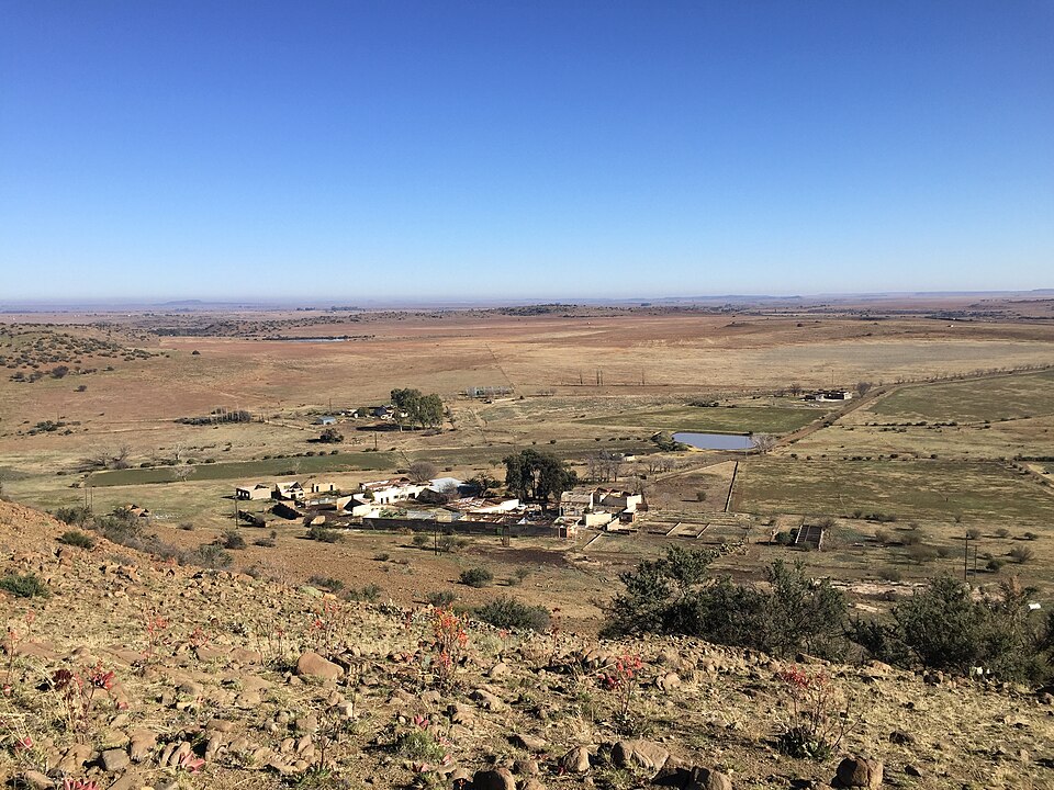 Bloemfontein — local market for subscription and membership platforms