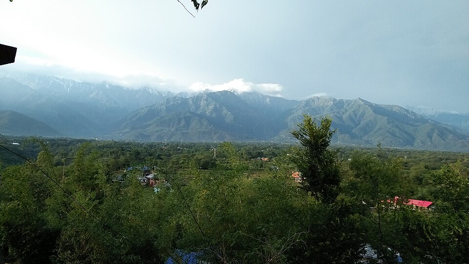 Palampur — local market for mobile commerce apps