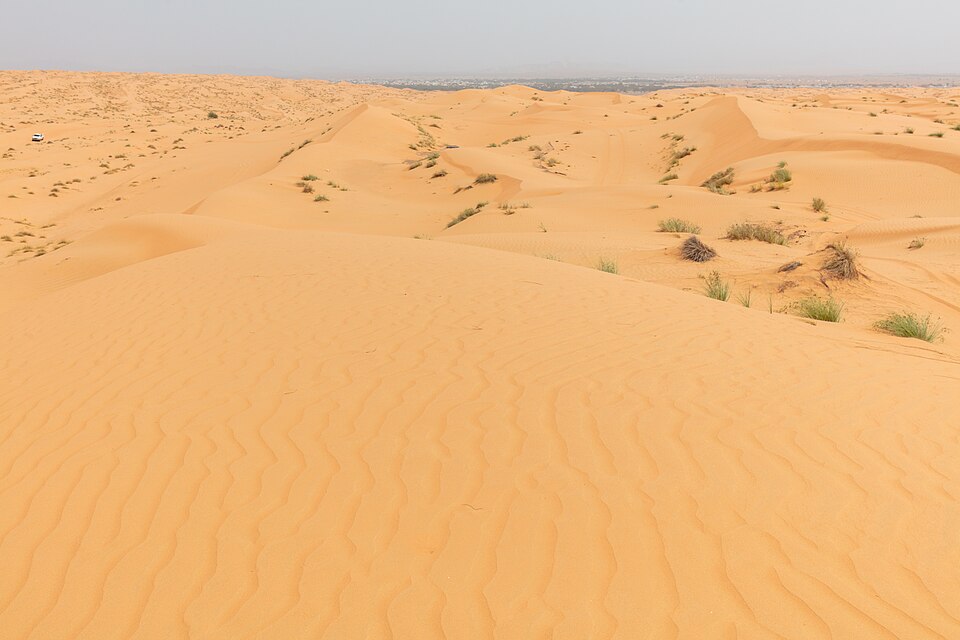 Oman — local market for mobile commerce apps