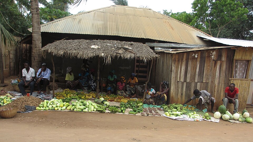 Pemba — manufacturer and distributor portals for local businesses