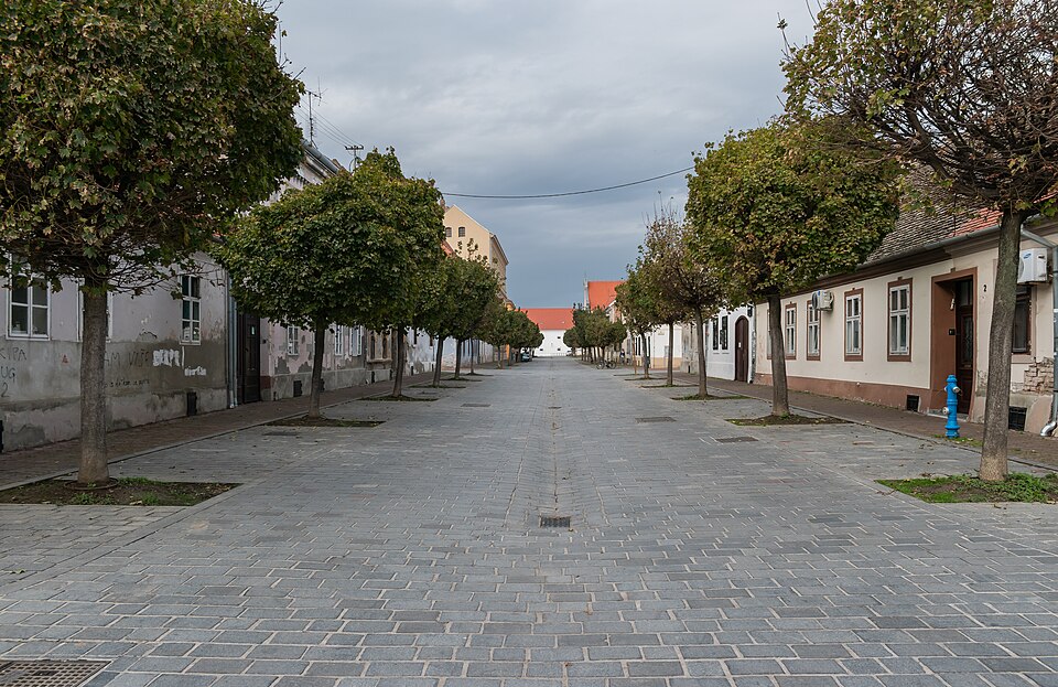 Osijek — local market for service booking platforms