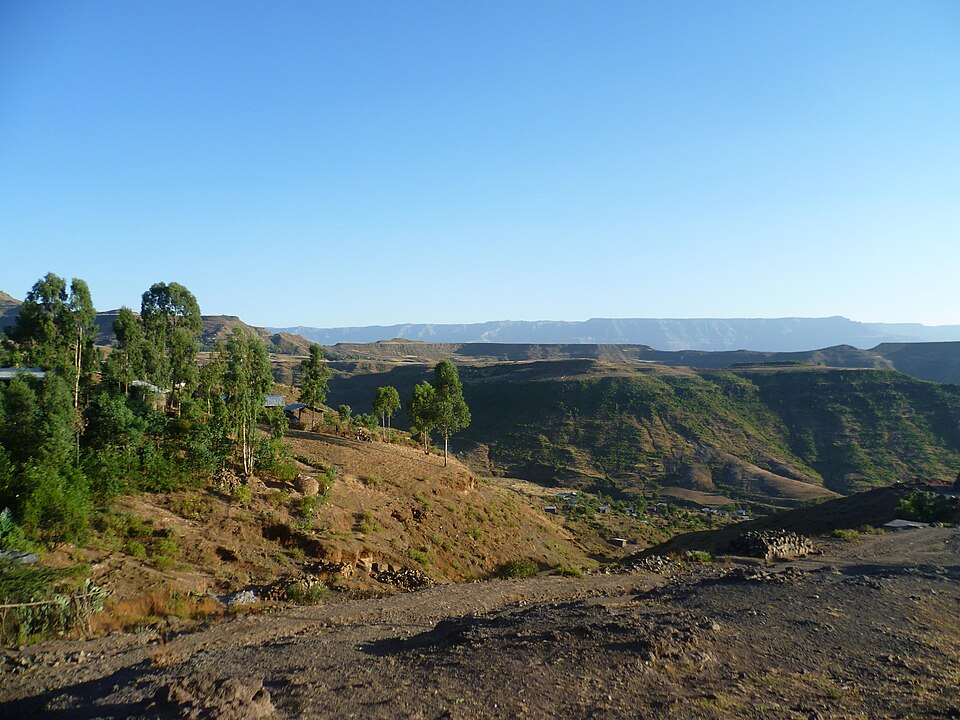 Ethiopia — manufacturer and distributor portals for local businesses