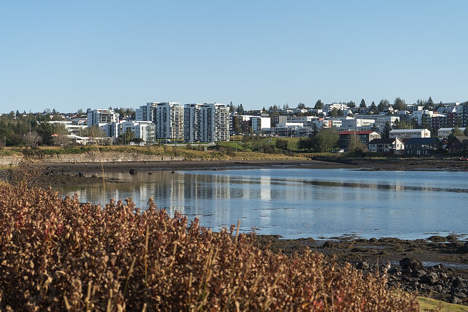 Kópavogur — local market for service booking platforms