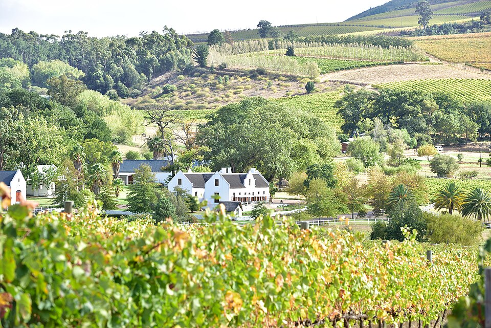 Stellenbosch — multi-vendor marketplaces for local businesses