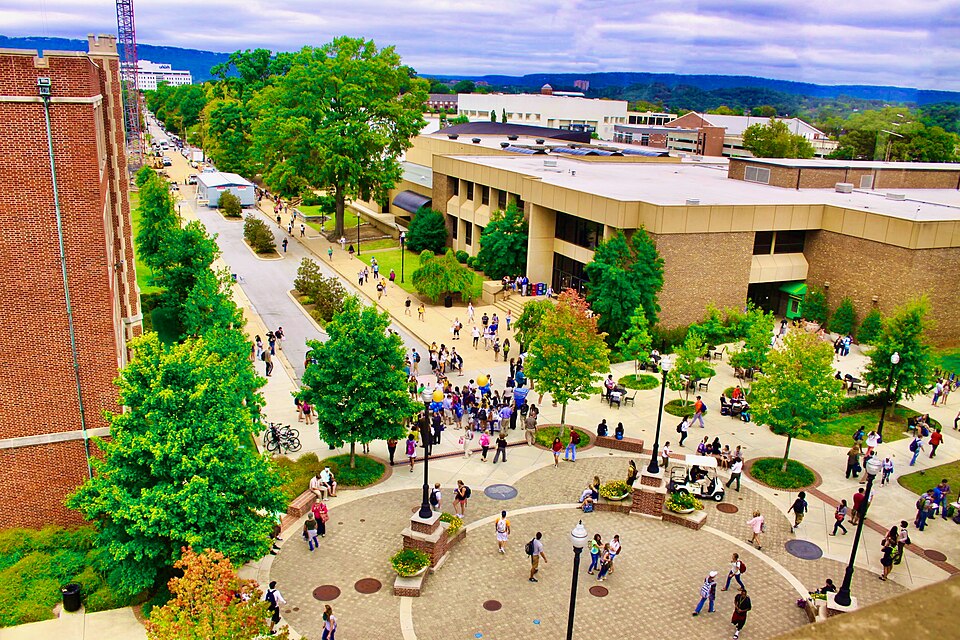 Chattanooga — B2B and wholesale portals for local businesses