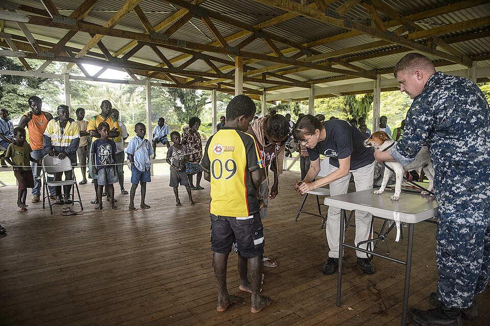 Mount Hagen — local market for subscription and membership platforms
