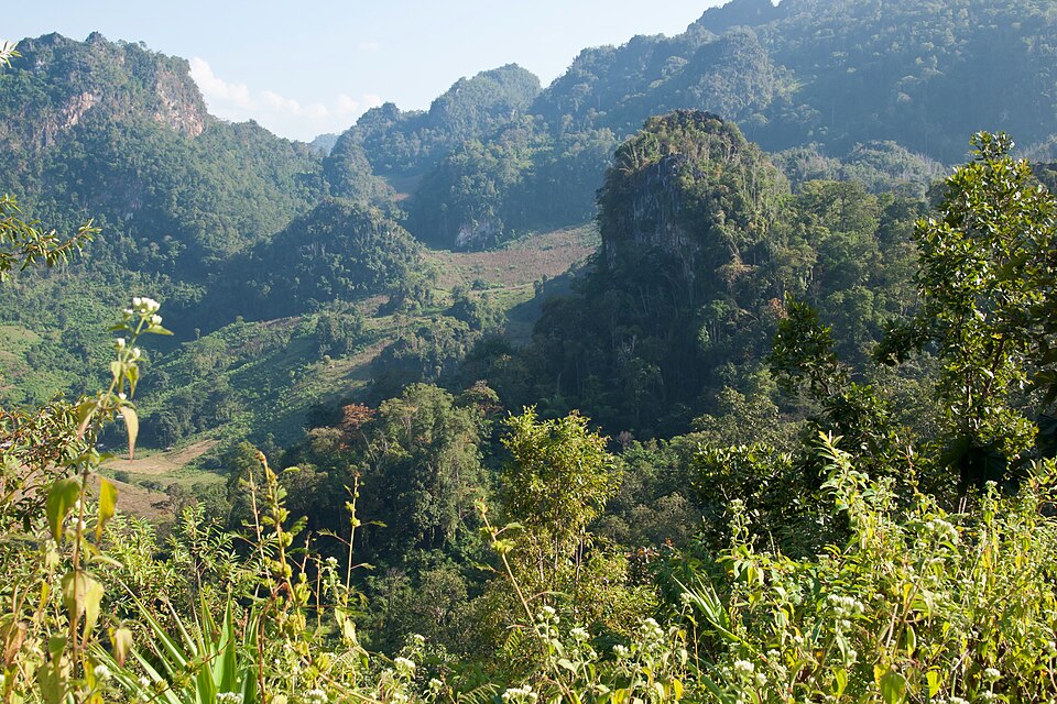 Thailand — multi-vendor marketplaces for local businesses