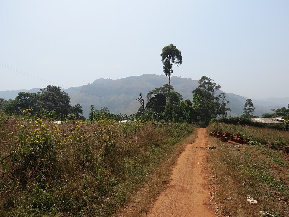 Cameroon — local market for B2B and wholesale portals