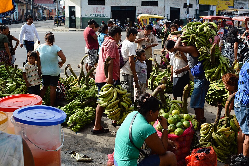 Iquitos — local market for mobile commerce apps