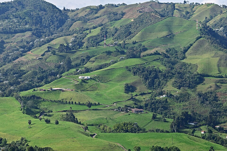 Manizales — local market for mobile commerce apps