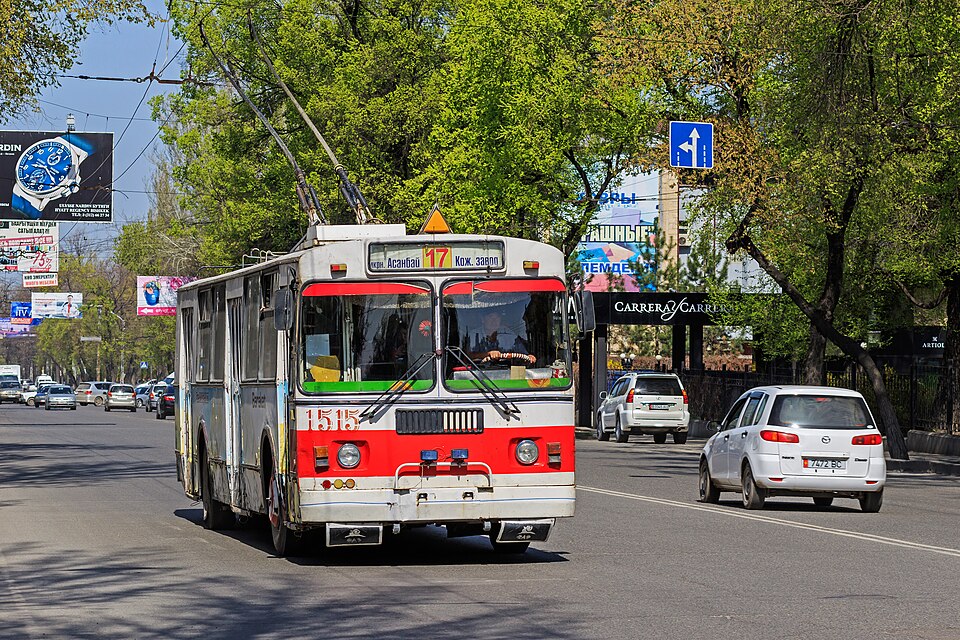 Bishkek — service booking platforms for local businesses