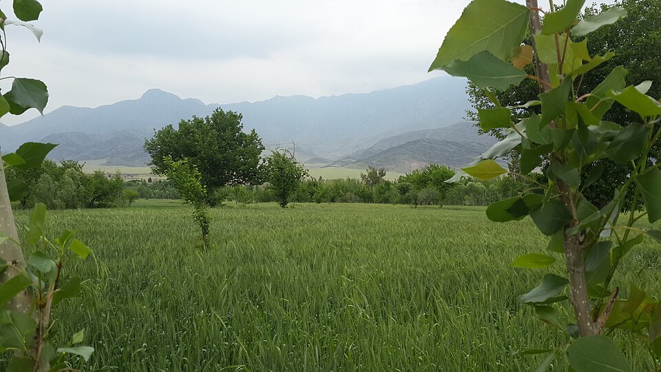 Afghanistan — local market for mobile commerce apps