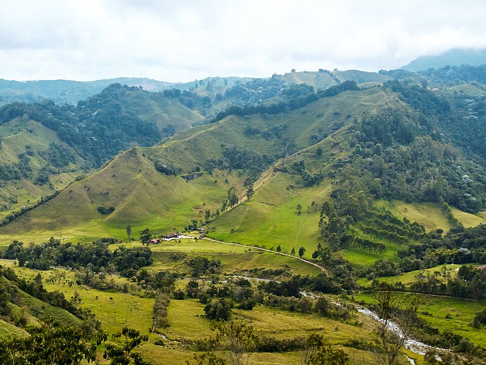 Colombia — local market for service booking platforms