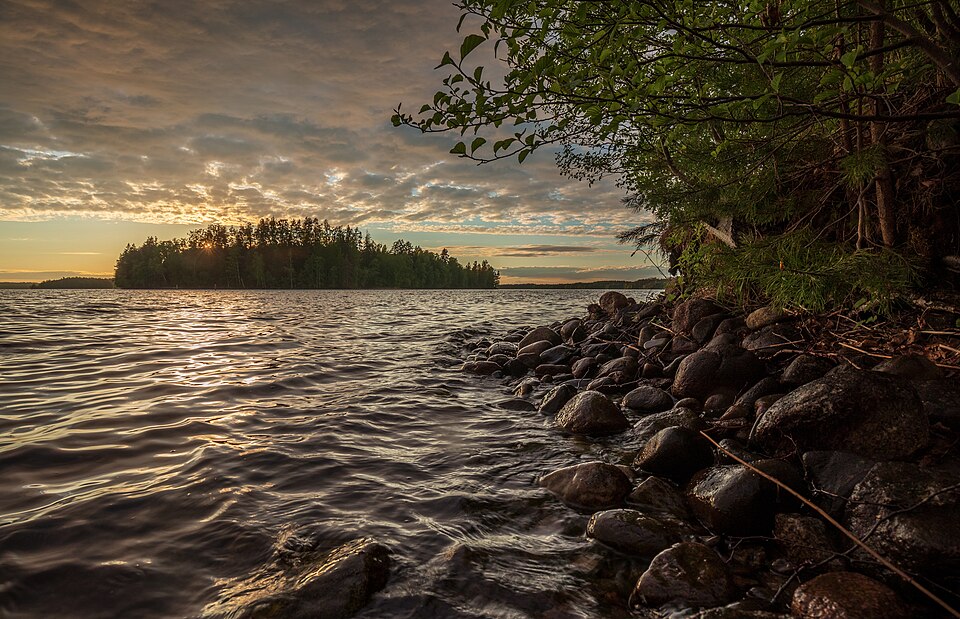 Finland — local market for service booking platforms