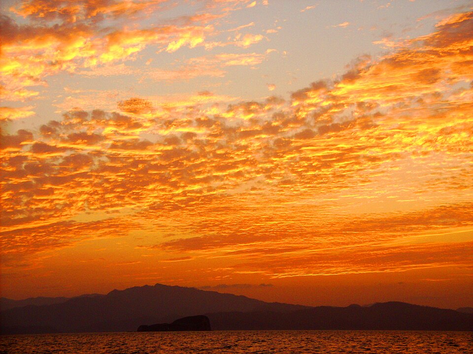 Puntarenas — online stores for local businesses
