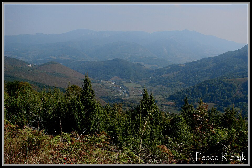 Bosnia and Herzegovina — local market for B2B and wholesale portals