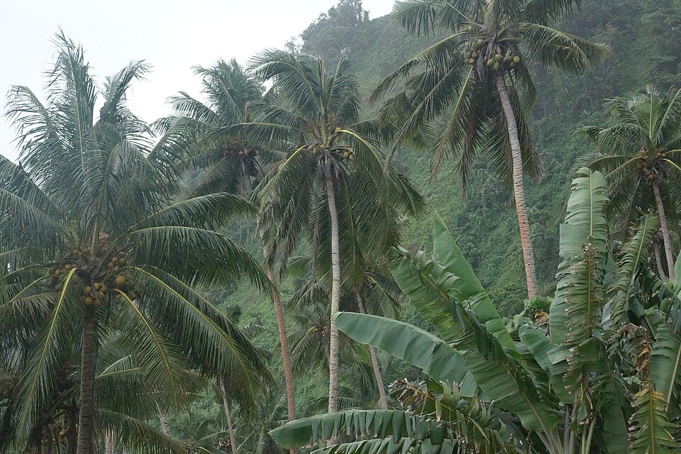 Samoa — local market for B2B and wholesale portals