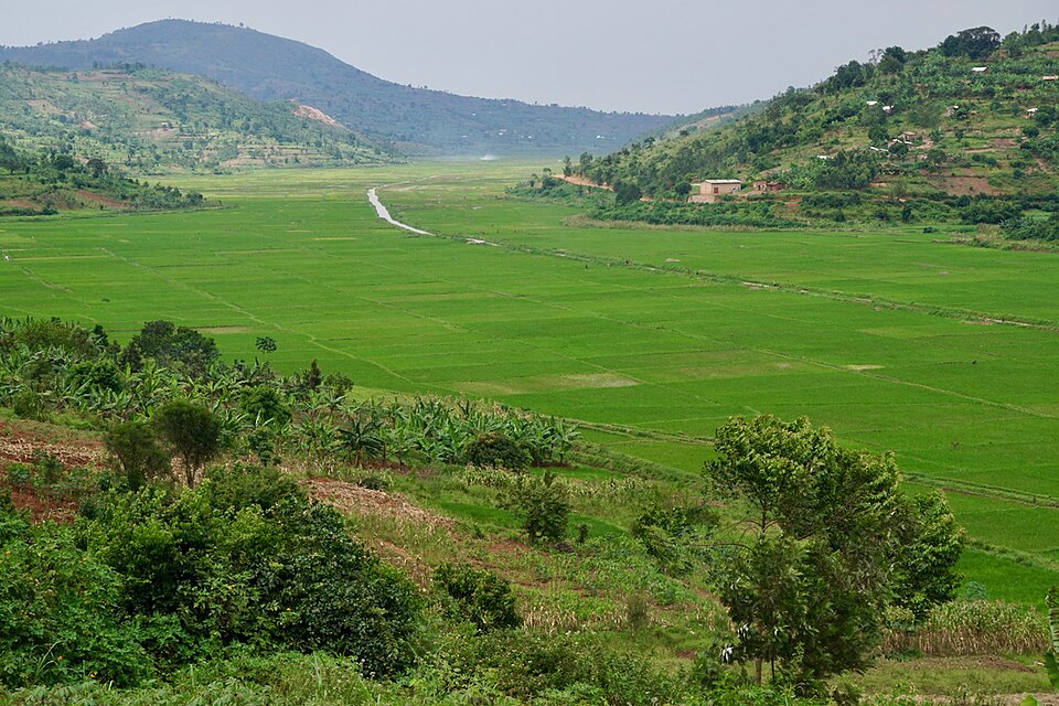 Rwanda — local market for subscription and membership platforms