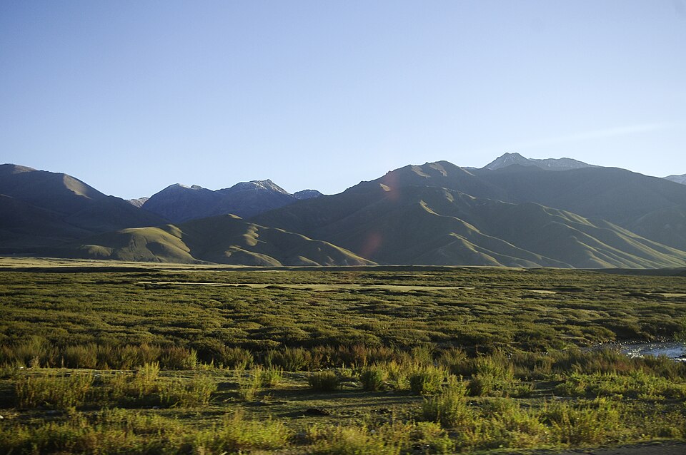 Kyrgyzstan — local market for service booking platforms
