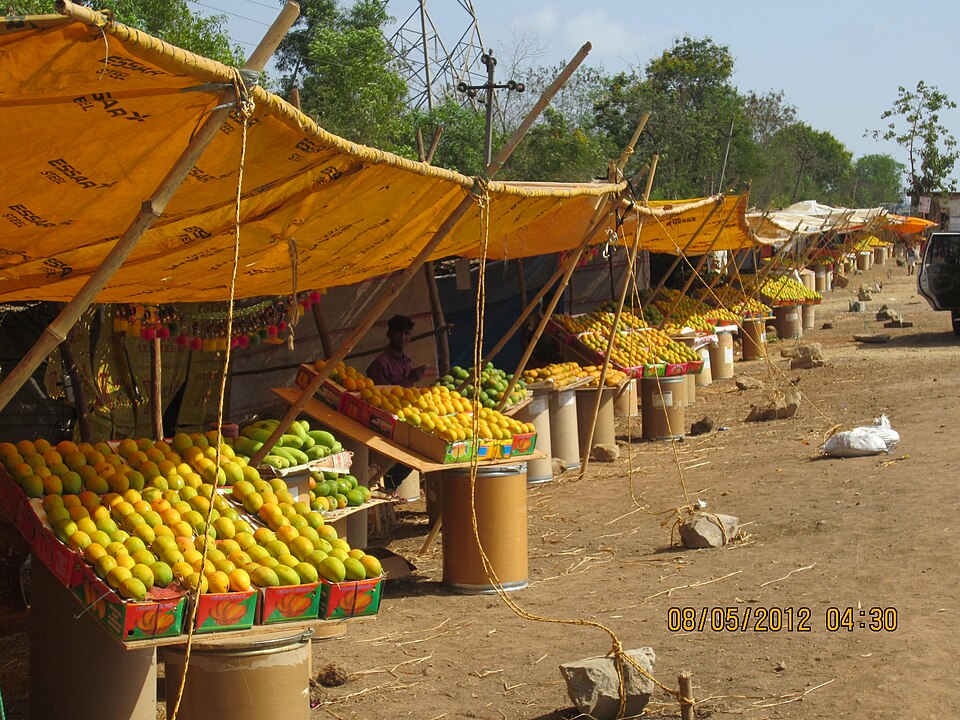 Vapi — local market for mobile commerce apps