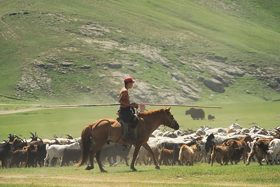 Mongolia — multi-vendor marketplaces for local businesses