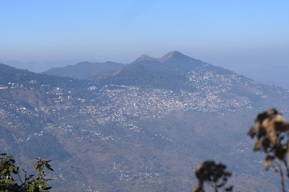 Pauri — local market for online stores