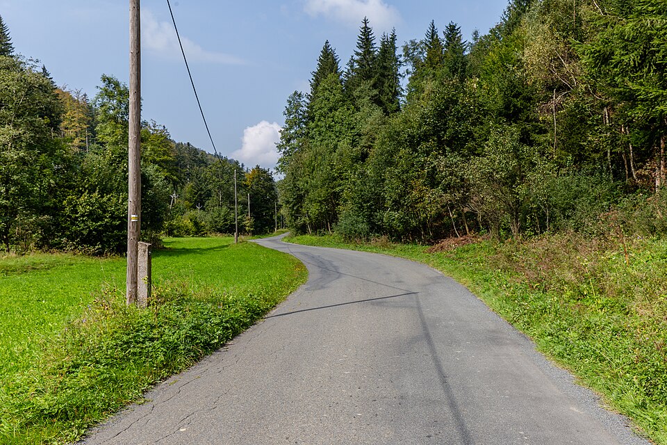 Czech Republic — international and multi-region stores for local businesses