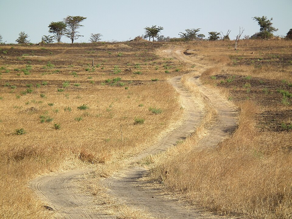 Tanzania — multi-vendor marketplaces for local businesses