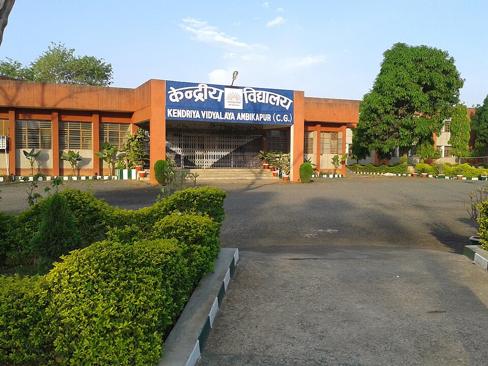 Ambikapur — local market for service booking platforms