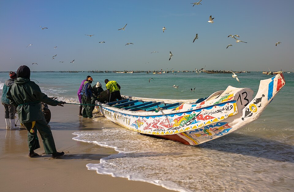 Nouakchott — manufacturer and distributor portals for local businesses