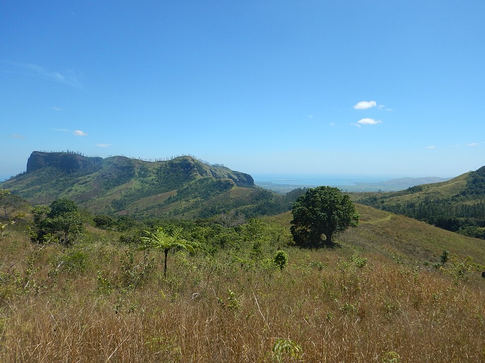 Fiji — multi-vendor marketplaces for local businesses