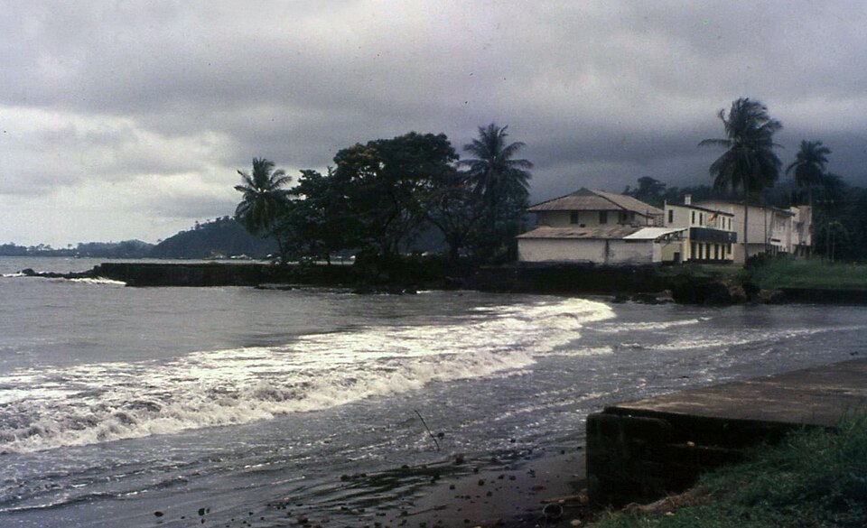 Limbe — local market for B2B and wholesale portals