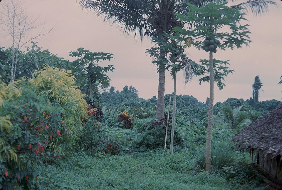 Vanuatu — local market for B2B and wholesale portals