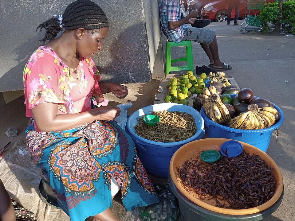 Malawi — local market for international and multi-region stores