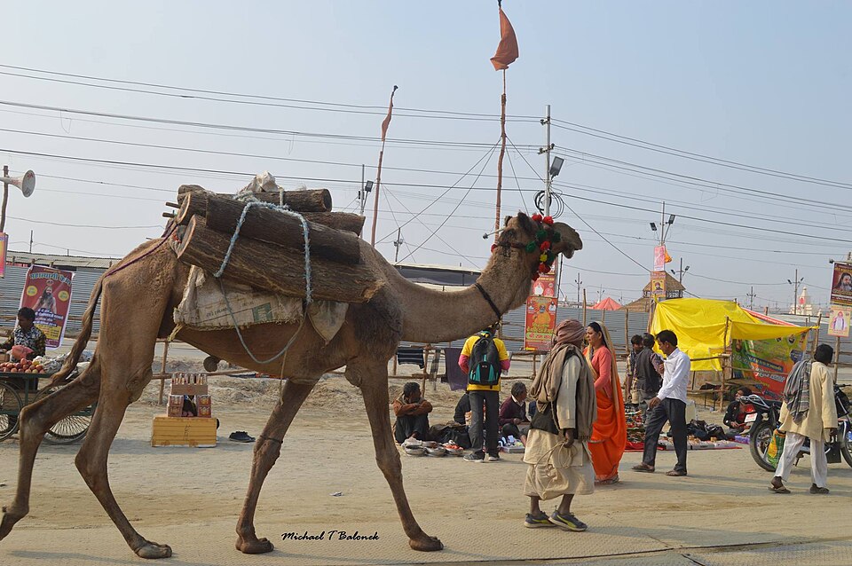 Prayagraj — local market for manufacturer and distributor portals