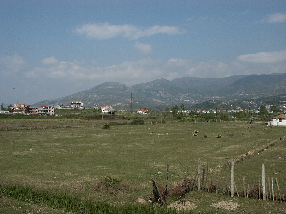 Albania — subscription and membership platforms for local businesses